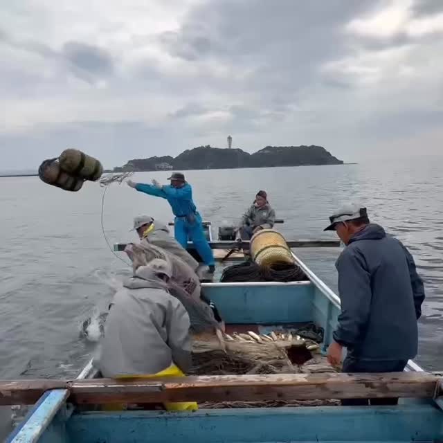 2025.11.9 SUN
雨予報の中お越し頂きましてありがとうございました😊
何とか3綱かけることができました♪
大漁とはいかないですが、色んな種類のお魚に会えました♪
またのお越しをお待ちしております!
#殿網 #地引網 #手ぶらでバーベキュー #クラフトビール
#江の島 #富士山